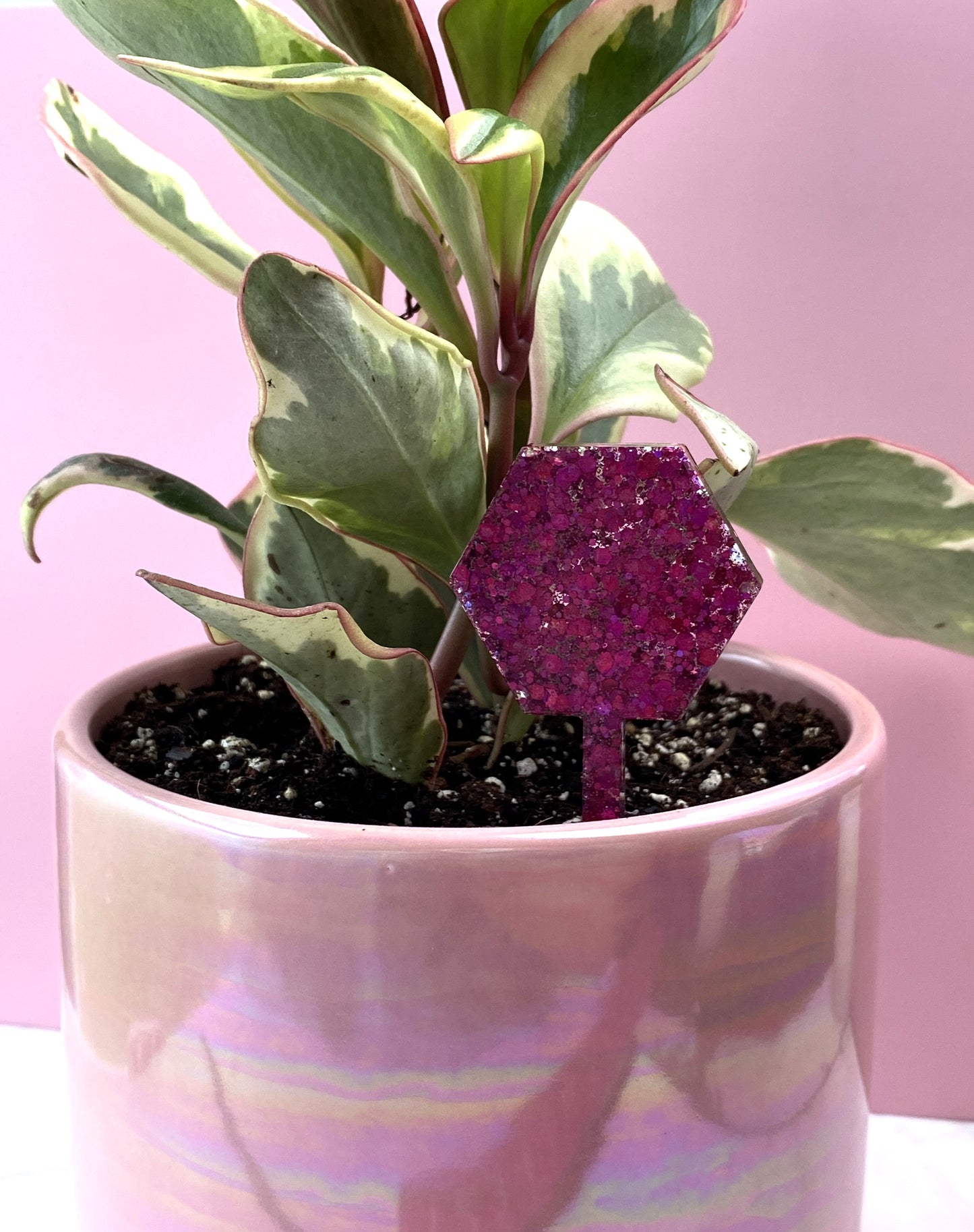 Plant Marker | Pink Glitter Hexagon | Handmade Garden Décor