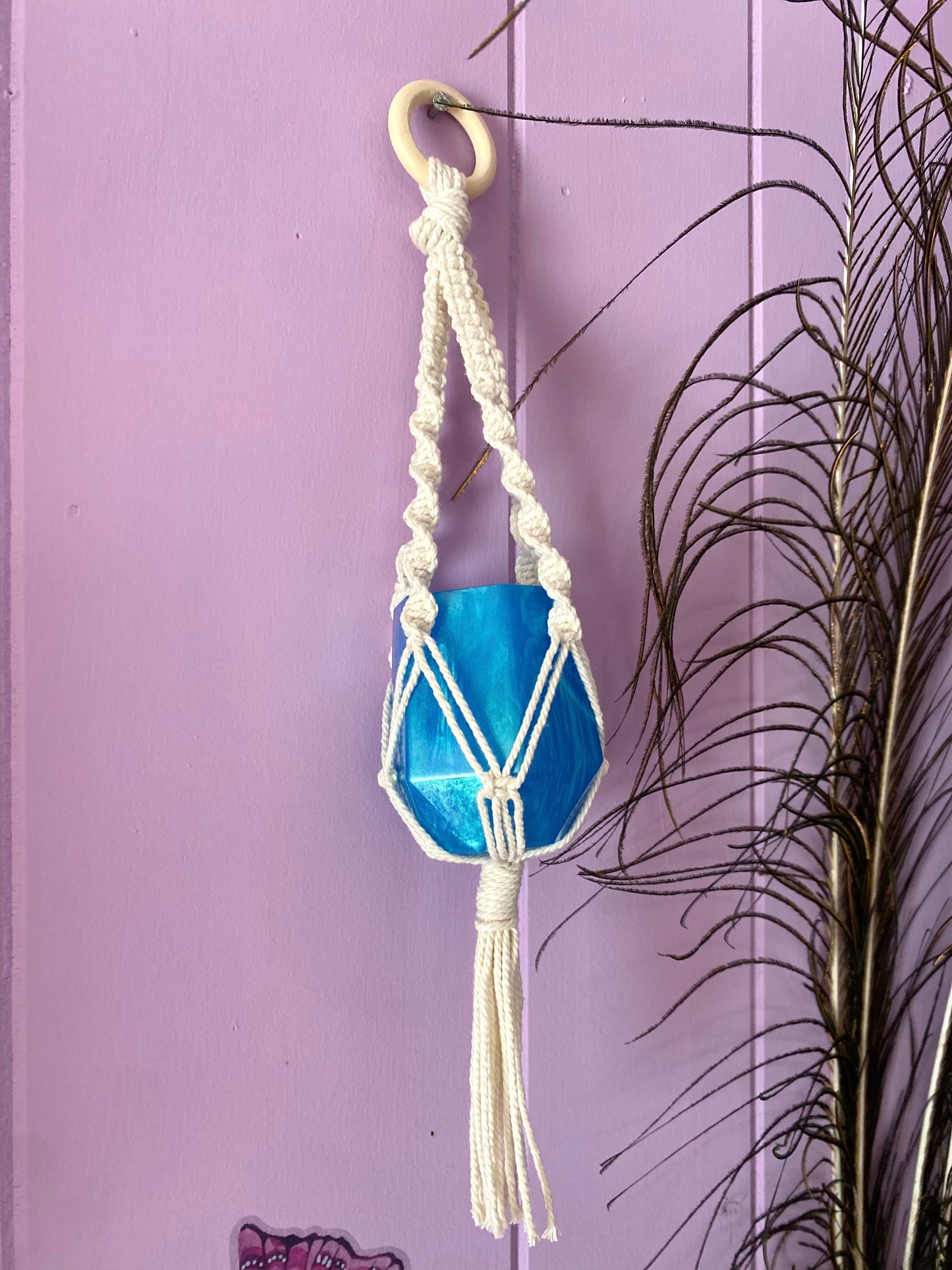 Mini Succulent Planter with Macramé Hanger | Blue Pearl | Handmade Home Décor