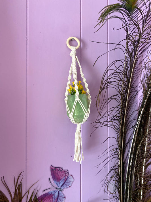 Mini Succulent Planter with Macramé Hanger | Lime Pearl | Handmade Home Décor