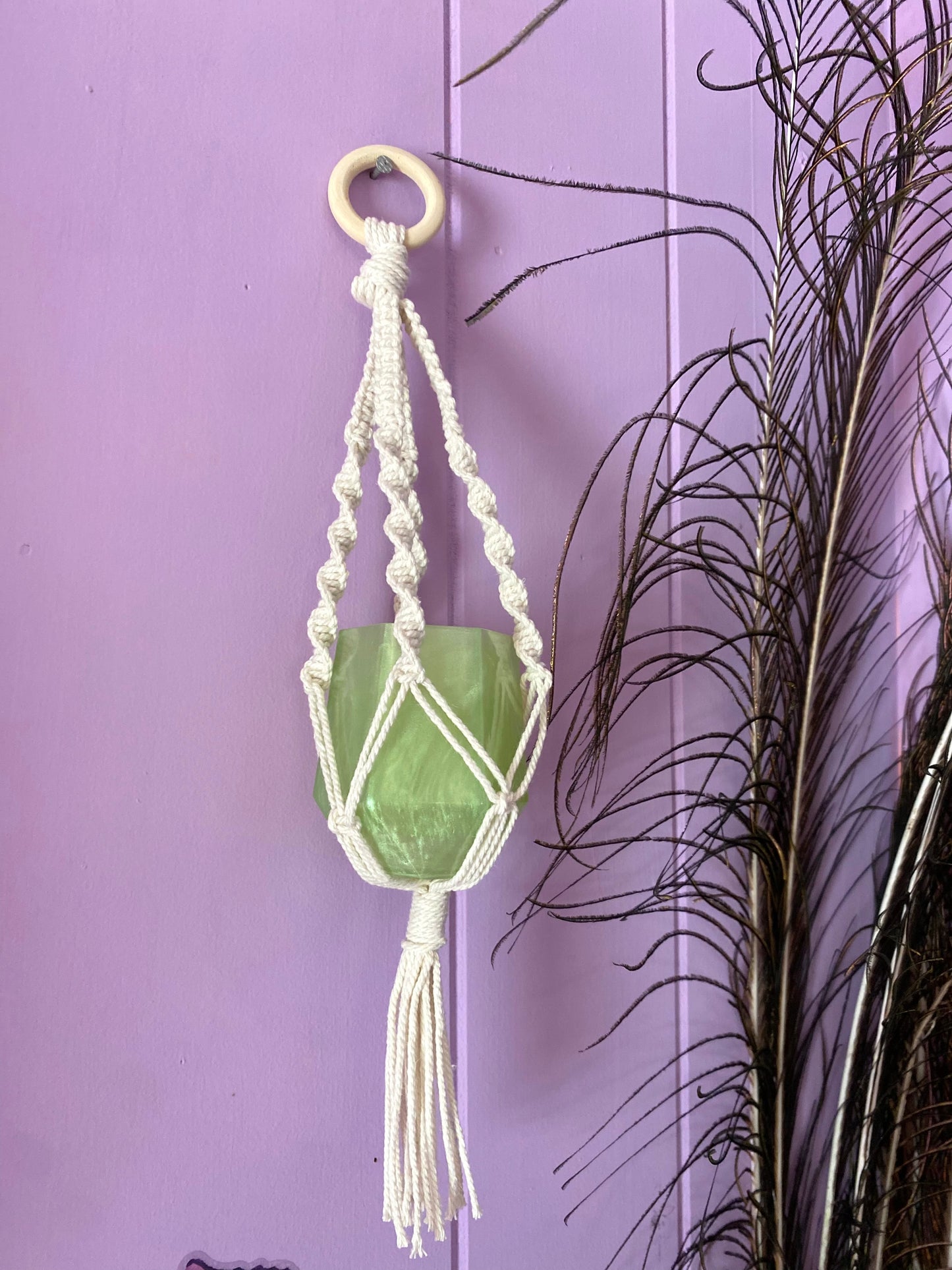 Mini Succulent Planter with Macramé Hanger | Lime Pearl | Handmade Home Décor