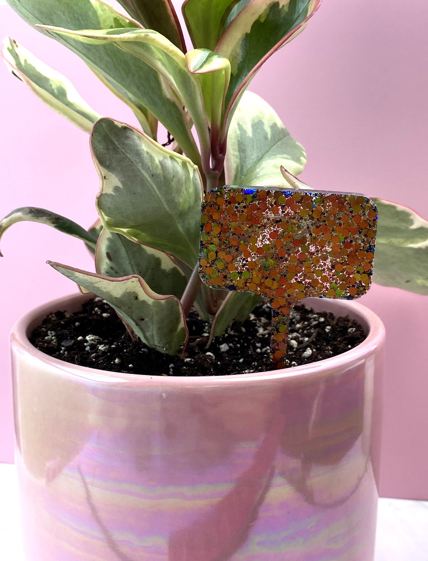 Plant Marker | Black Cherry Glitter Rectangle | Handmade Garden Décor