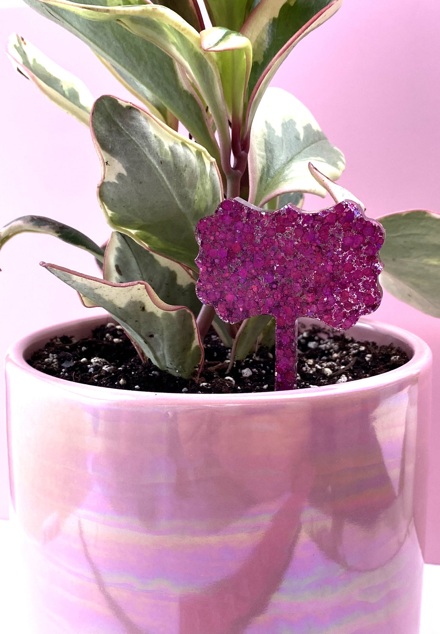 Plant Marker | Pink Glitter Scallop | Handmade Garden Décor
