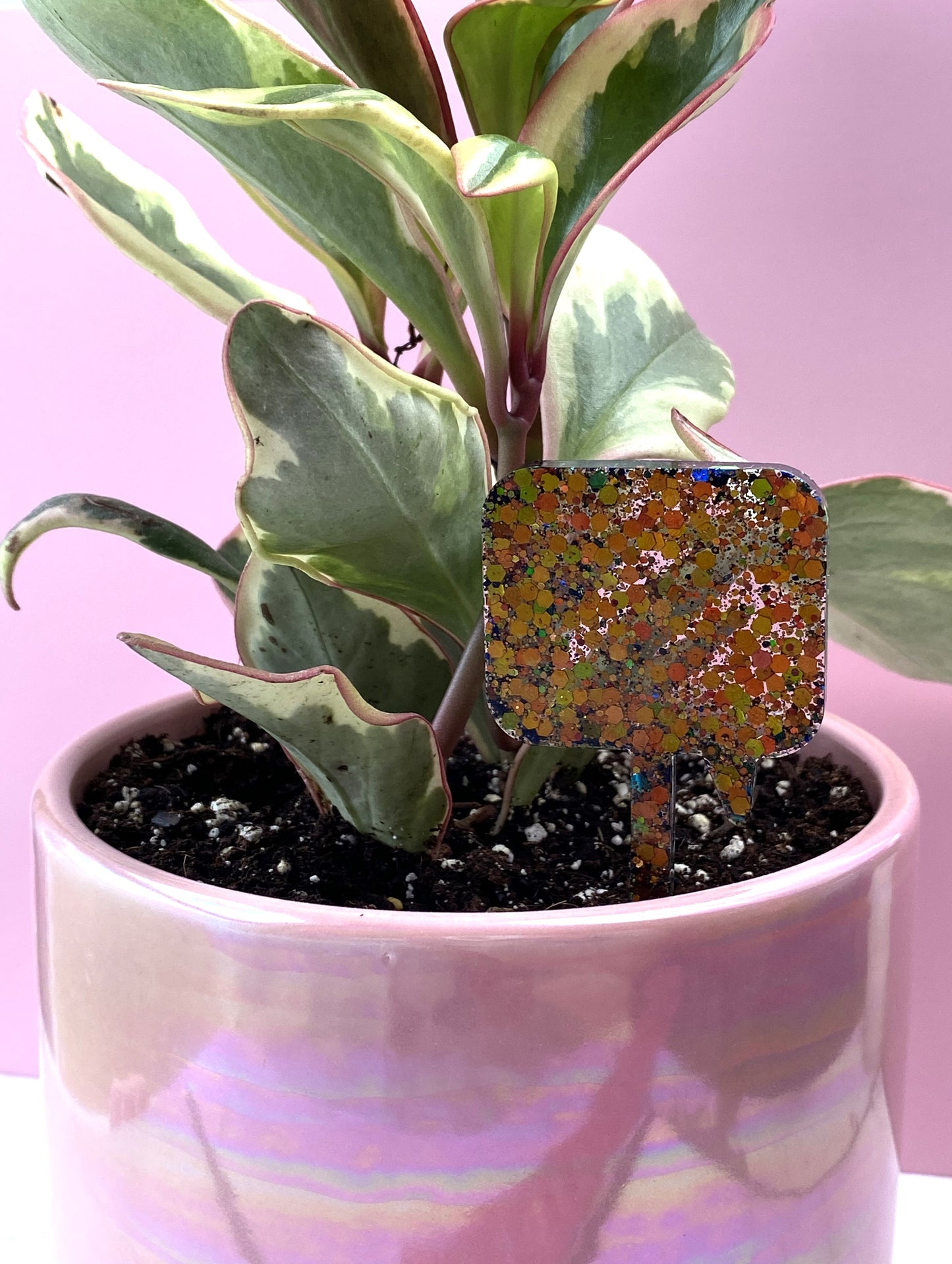Plant Marker | Black Cherry Glitter Speech Bubble | Handmade Garden Décor