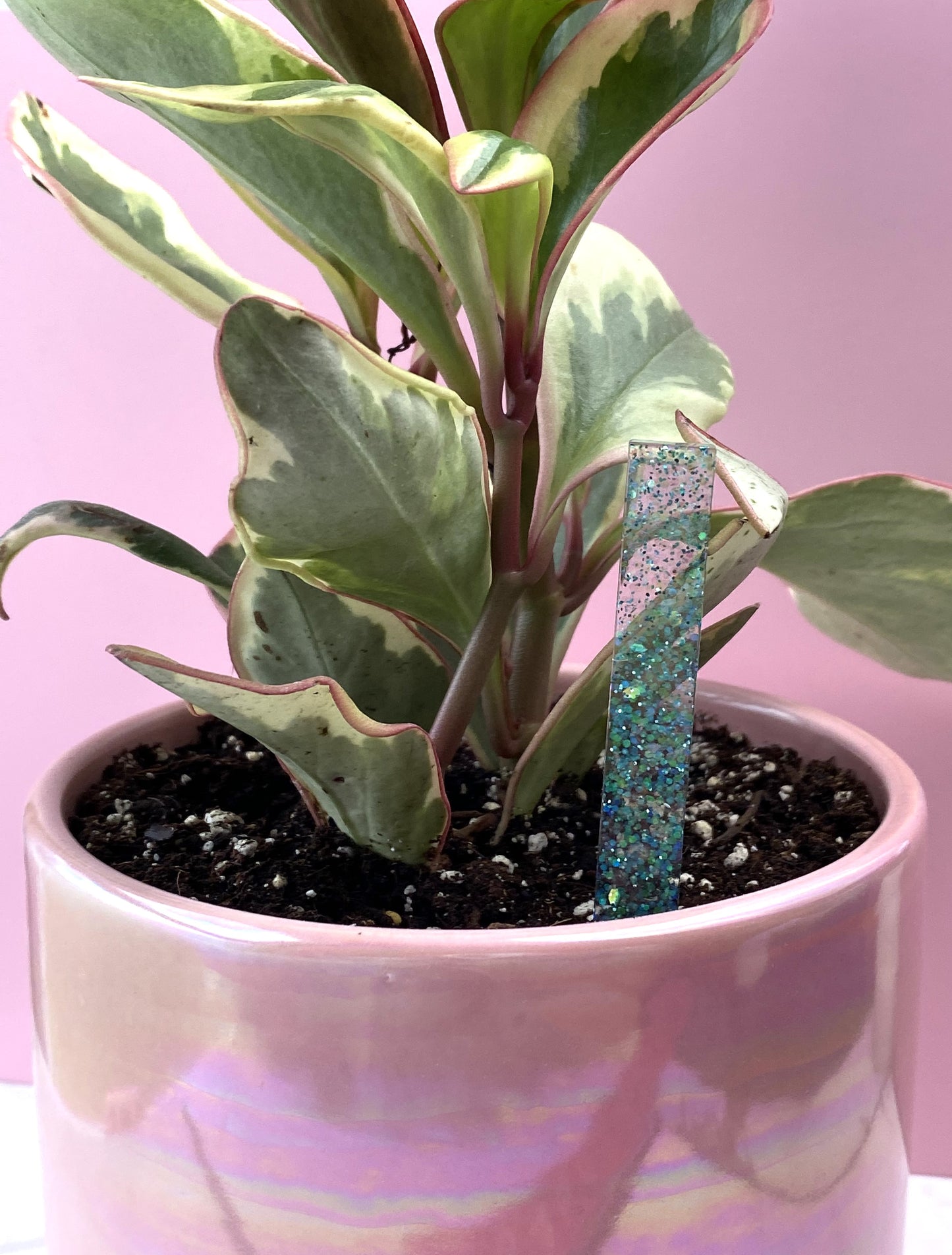 Plant Marker | Aqua Glitter Stake | Handmade Garden Décor