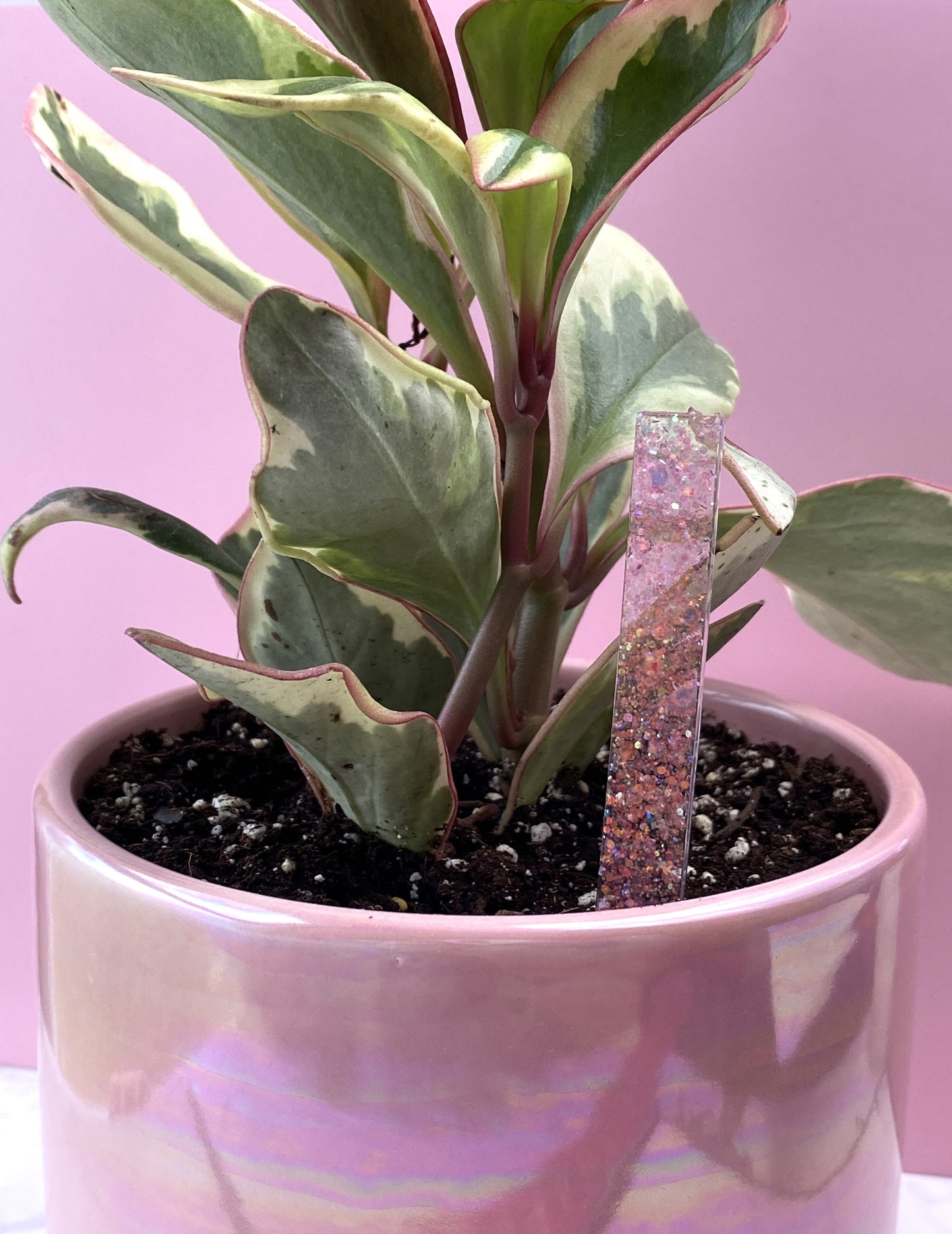 Plant Marker | Baby Pink Glitter Stake | Handmade Garden Décor